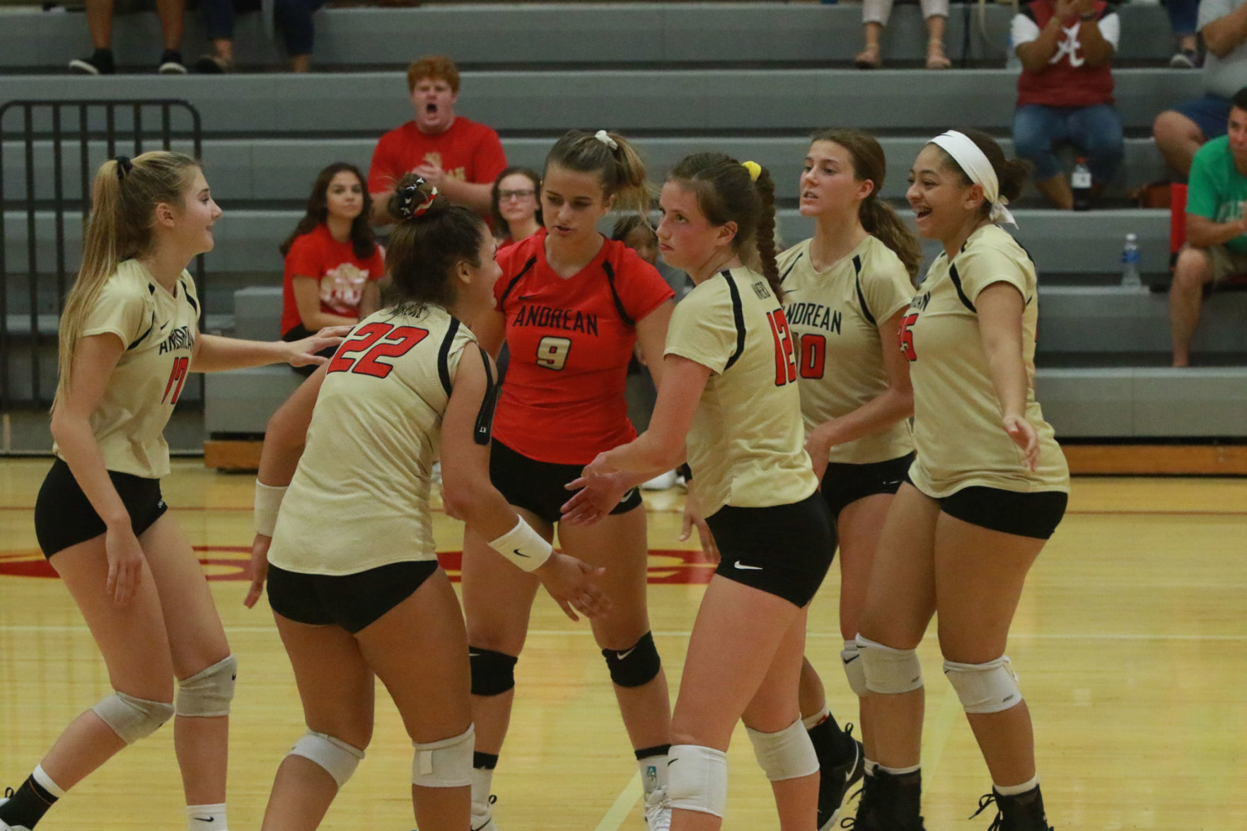 Gallery: Girls volleyball - Wheeler at Andrean